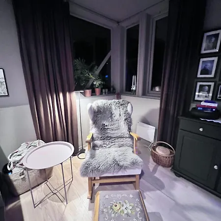Modern Luxplace With Northern Light View *