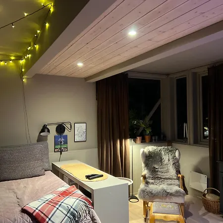 Modern Luxplace With Northern Light View