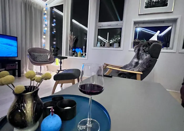 Modern Luxplace With Northern Light View Villa