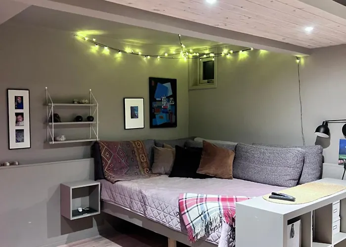 Modern Luxplace With Northern Light View