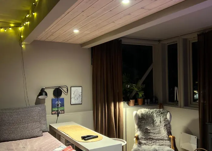 Modern Luxplace With Northern Light View
