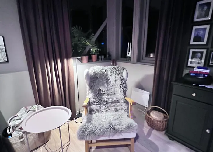 Modern Luxplace With Northern Light View *